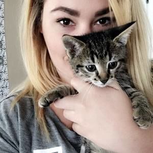 Meet your Posher, Taylor